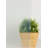 Graphics Window Decal