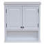 Carruthers 68.58cm x 167.64cm Over the Toilet Cabinet