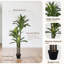 Artificial Dracaena Plant, 150cm /105cm Tall Indoor Faux Tropical Tree with Realistic Variegated Leaves, Maintenance Free Decorative Floor Plant for Living Room Office Bedroom-1177748668