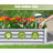 Galvanized Raised Garden Bed, Durable Outdoor Planter for Vegetables, Fruits, and Flowers with Open Base Design-840677802-840677801