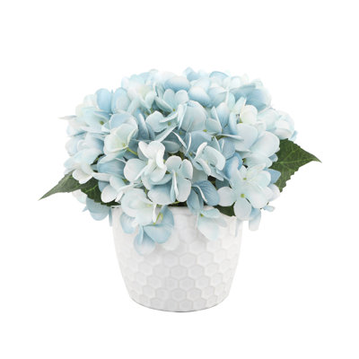 Hortensias en vase