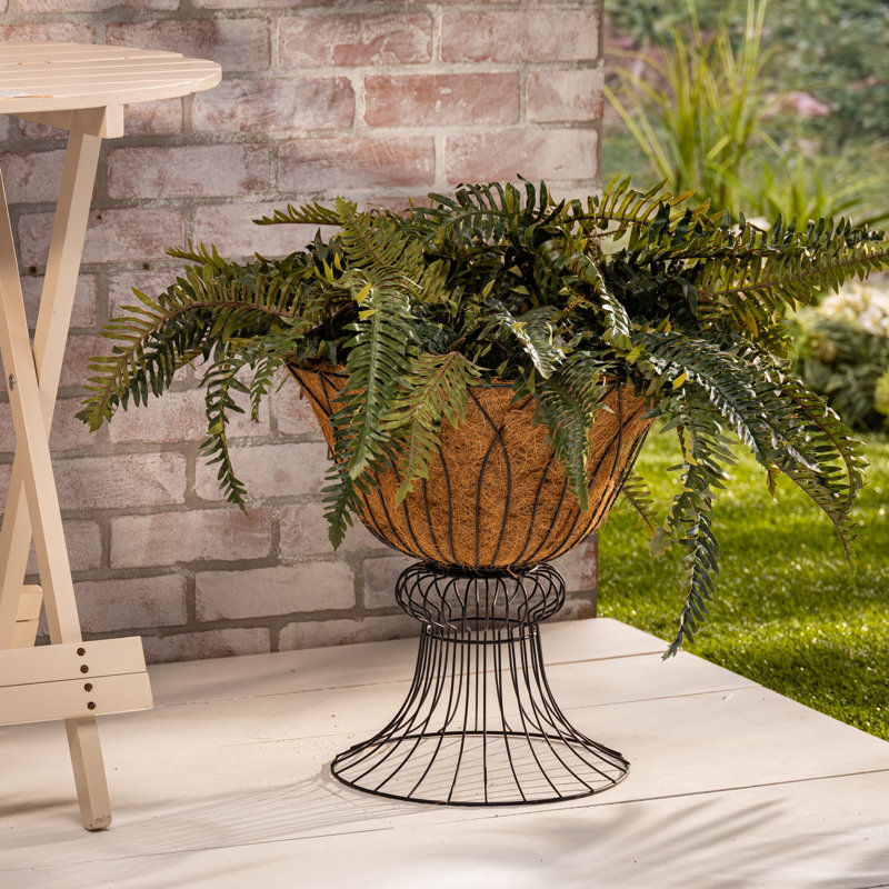 Stately 16.5-Inch Round Black Metal Wire Planter Urn with Natural Coco Liner – 16-Inch Diameter Elevated Garden Vessel