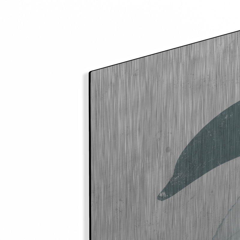 Dolphin «By Kyra Brown», mur en métal «Dolphin» par Kyra Brown, H 24 po x l 36 po