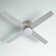 Poppe 52'' Ceiling Fan with LED Lights