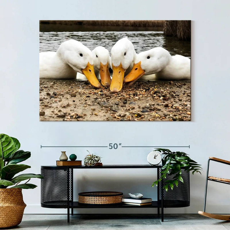 Brampt American Pekin Ducks, 34" H x 51" W