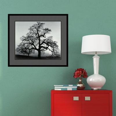 " Oak Tree, Sunset City, California, 1962 " by Ansel Adams