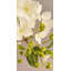 SPRAY D'HYDRANGEA-1451197373
