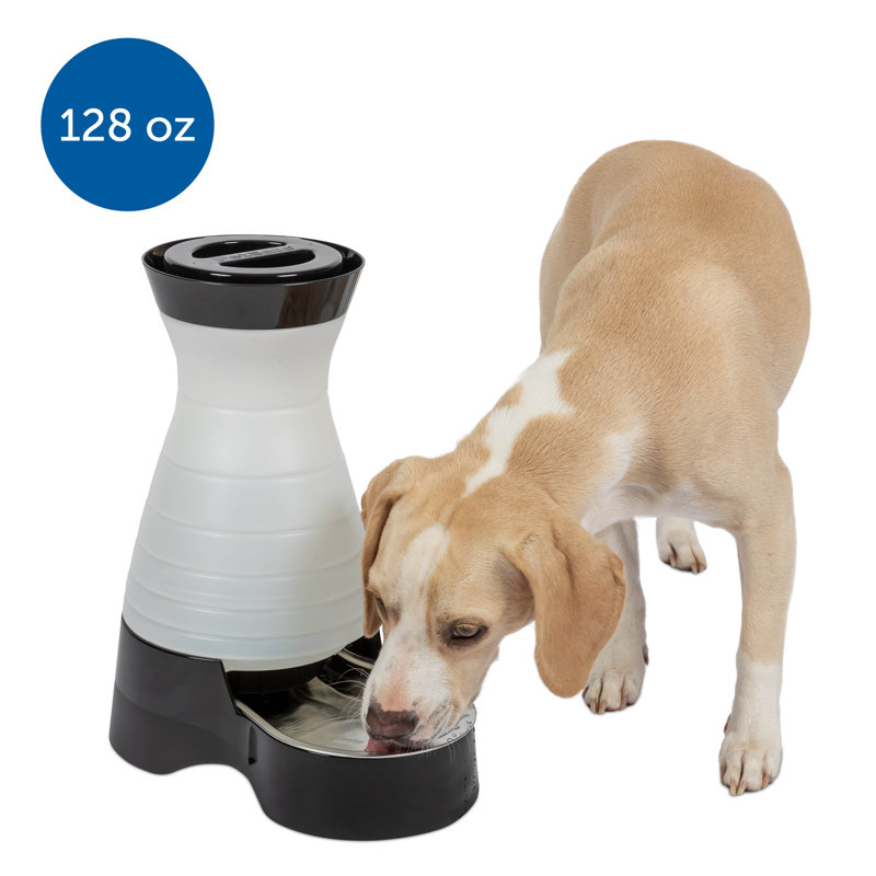 Healthy Pet Water Station, Medium (128 fluid oz)