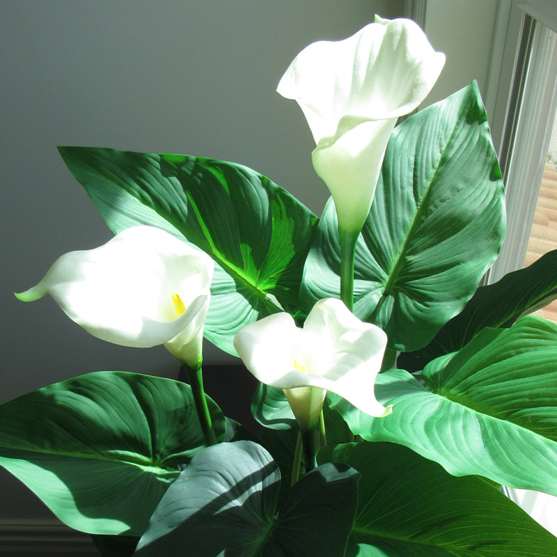 Plante artificielle blanche 31 po en pot noir