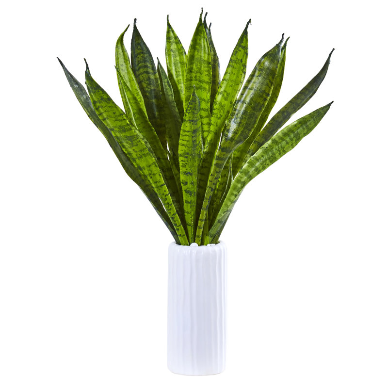 Sansevieria Artificial Plant in White Vase