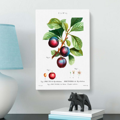 Ripe Plums by Pierre-Joseph Redoute - Wrapped Canvas