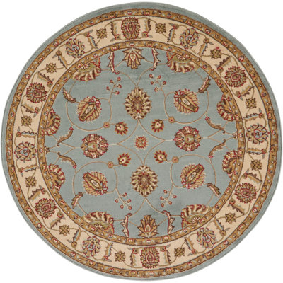Baranof Oriental Indoor Rug