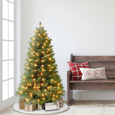 54' Lighted Pine Christmas Tree