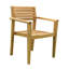 Montana Outdoor Teak Dining Armchair