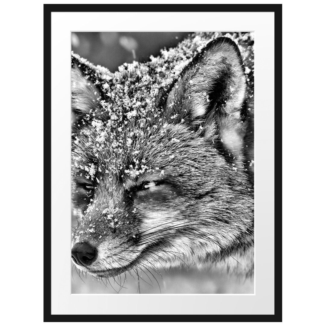 Gerahmtes Poster Fuchs im Schnee