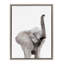 "Animal Studio Elephant" par Amy Peterson, reproduction d'art sur toile encadrée