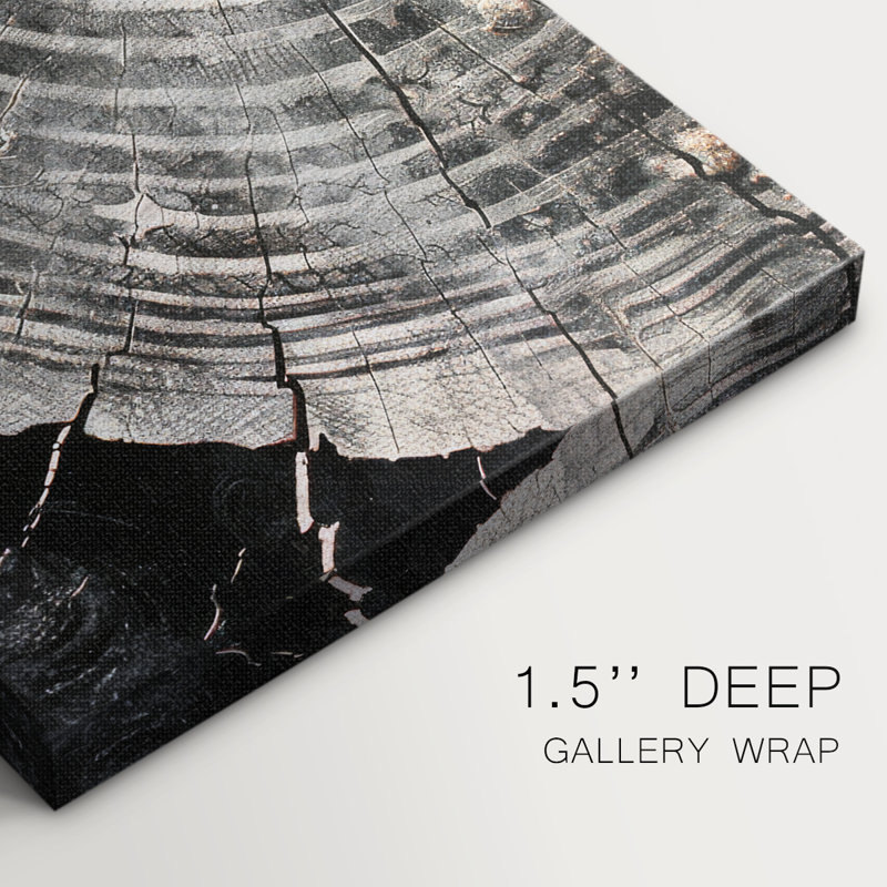Abstract Series 2 #XXVI-Gallery Wrapped Canvas