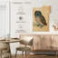 Brampt le petit hibou-108445368