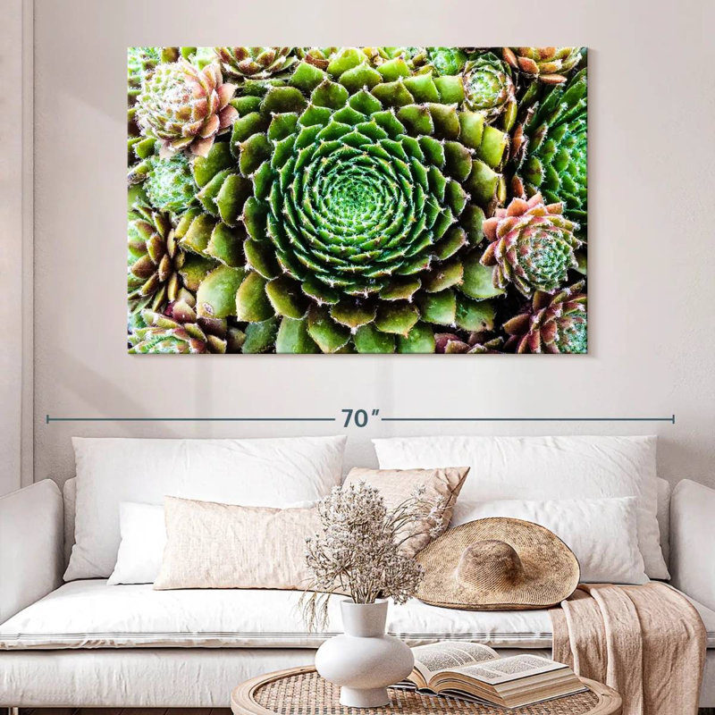 Harnek fleur comme plantes grasses, H 34 po x l 51 po