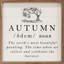 Autumn Definition Tree White-1746639219