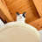 Cat Bed with Scratching Post Set