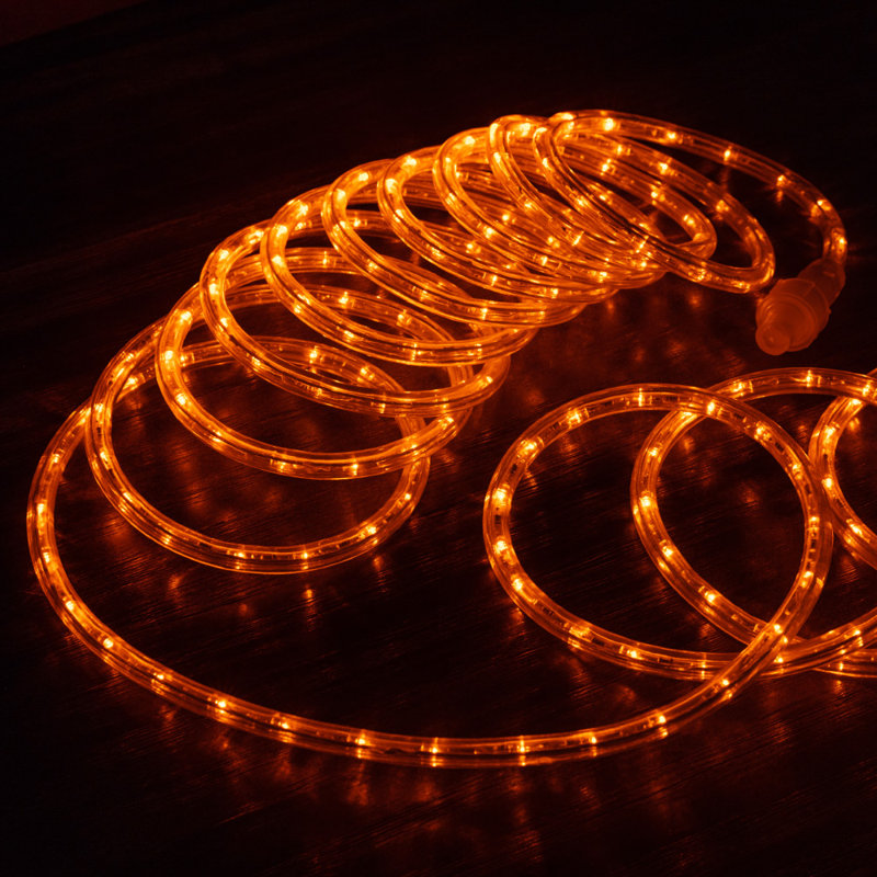 Cordon lumineux à DEL avec mode 8, L 3600 po, Orange