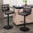 Penacook Swivel Adjustable Height Bar Stool-206393955-149633765