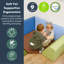 Cozy Corner - Woodland-116009798