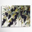 Fruit, sureau blanc, art mural-570020968