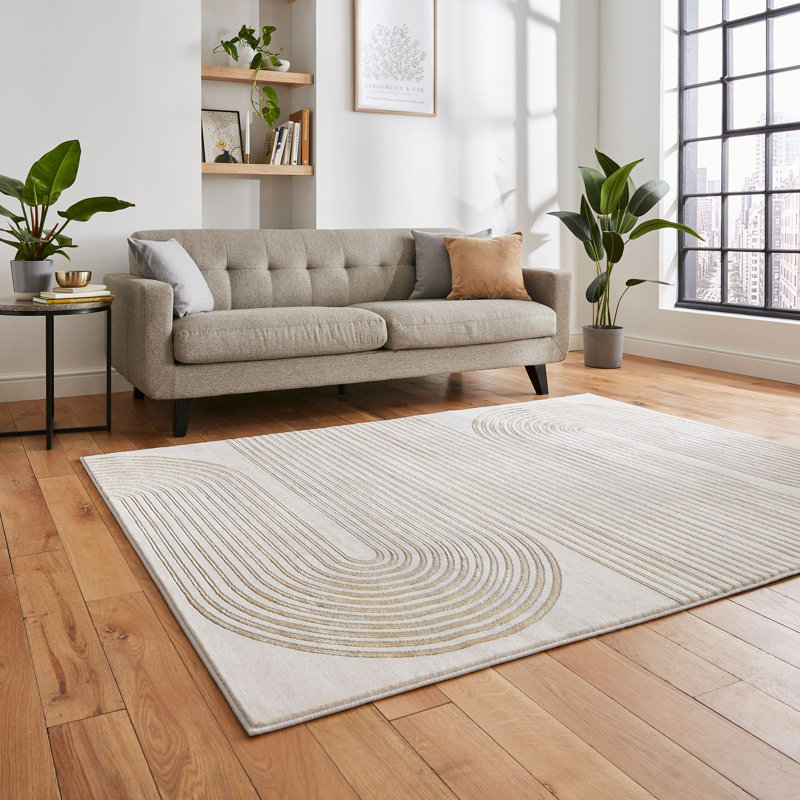 Apollo area rug Machine Woven Rectangle Grey, Rectangle 160 x 220cm