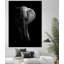«Éléphant! Fine Art, impression sur toile géante