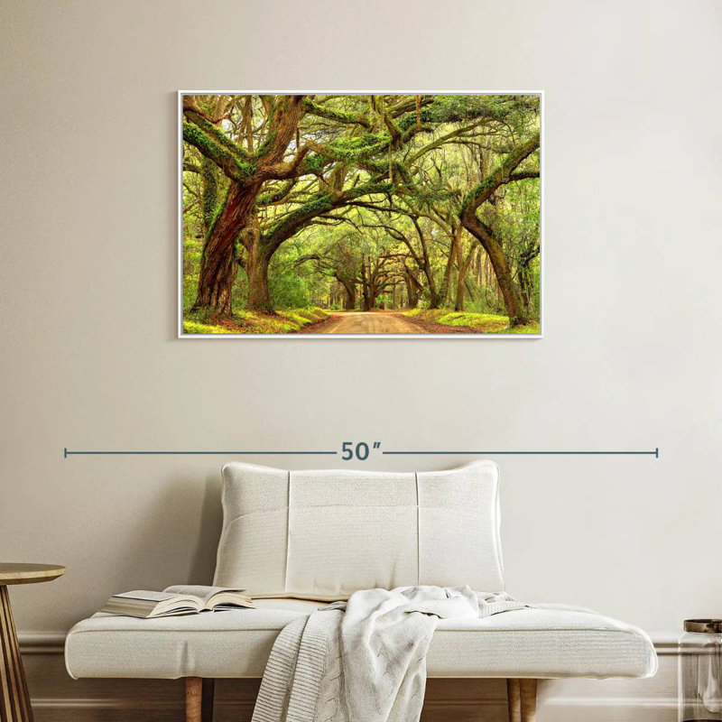 Charleston Oak Forest, Cadre flottant blanc, 37 po x 25 po