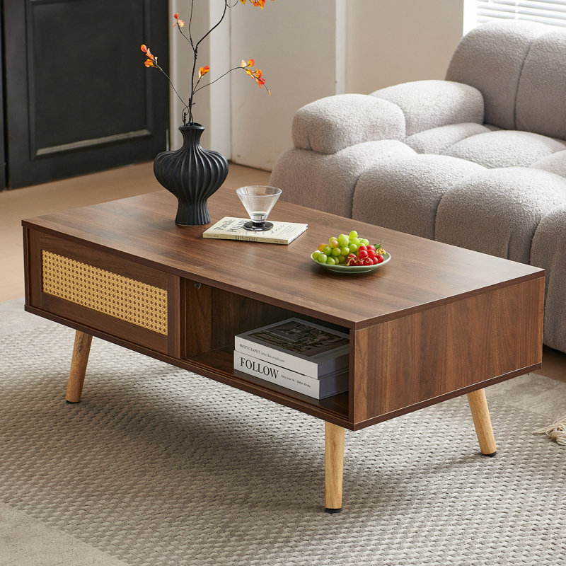 Table basse en rotin PE, porte coulissante pour rangement, pieds en bois massif, table de salon