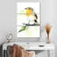 Oiseau chanteur Brampt-108527727