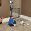 Barrière en acier pour animaux MidWest Homes-22329566-22329568