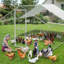 Chicken Run-630888733