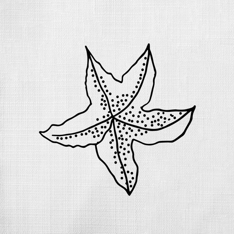 Nautical Sea Life_475 - Coussin décoratif avec coussin décoratif, H 16 po x l 16 po