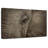 Brampt African Elephant Eye-108690984