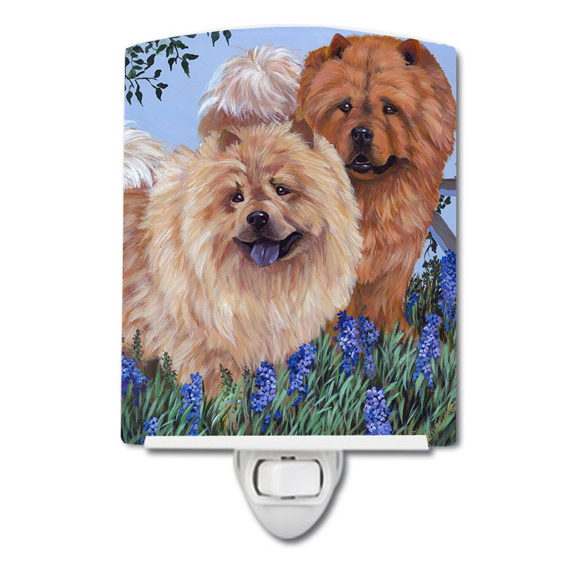 Veilleuse Westie, Chow-chow dans un pré