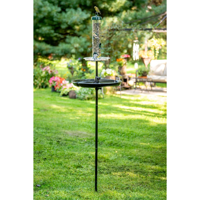 Brome Tube Solution Wild Bird Feeder, 3.4 lb Capacity, Clear