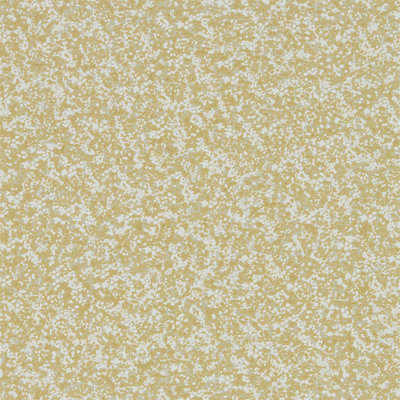 Coral Wallpaper