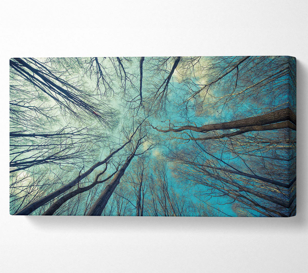 Union Rustic Sky of Trees - Wrapped Canvas Art Prints | Wayfair.co.uk