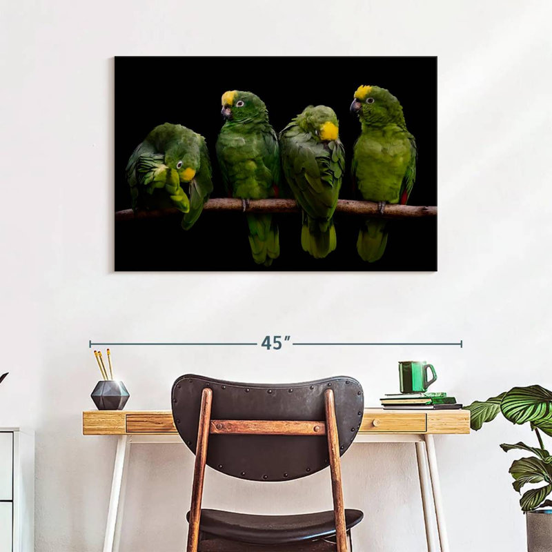 Yellow Crowned Parrots