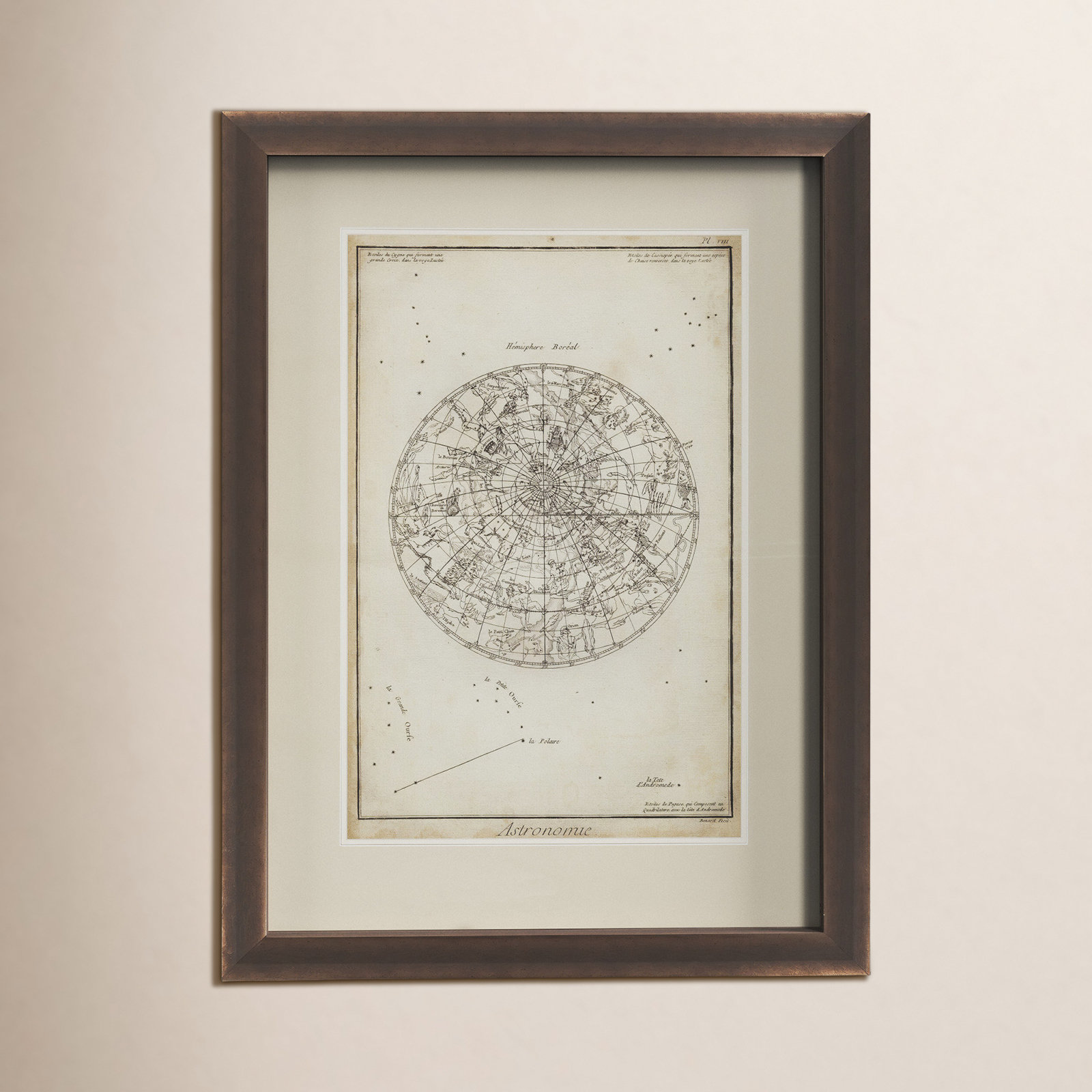 Antique Astronomy Chart I Print