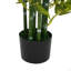 Artificial Bamboo With Pot
