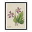 Purple Petals Print