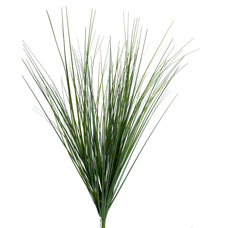 Herbe, plante, faux arbres et arbres