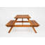 Table Pic-Nic 140X70Cm