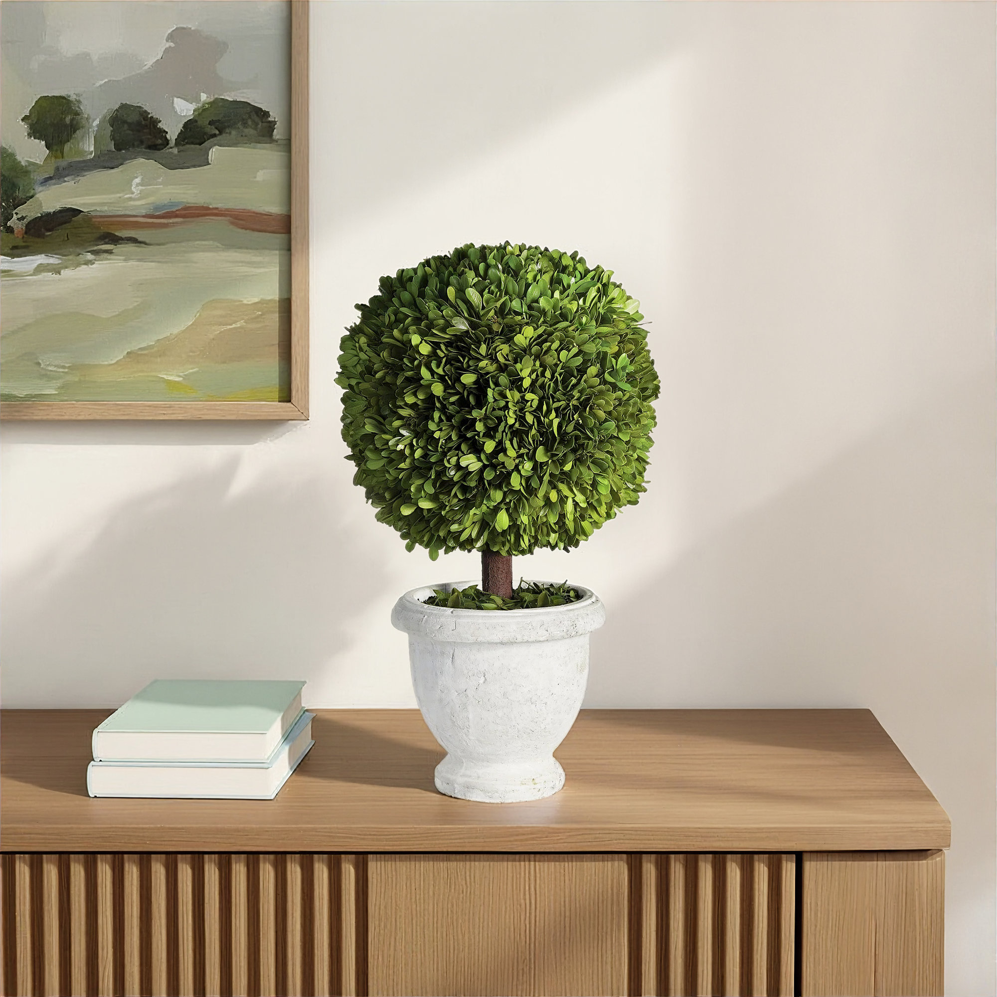 Alby Boxwood Topiary in Ceramic Pot, 20" H x 8.5" W x 8.5" D 