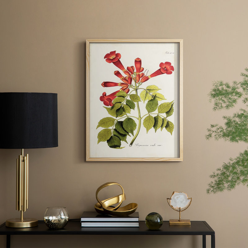 «Tropical Trumpet Flowers II», reproduction encadrée - bois massif, H 30 po x l 24 po, Naturel